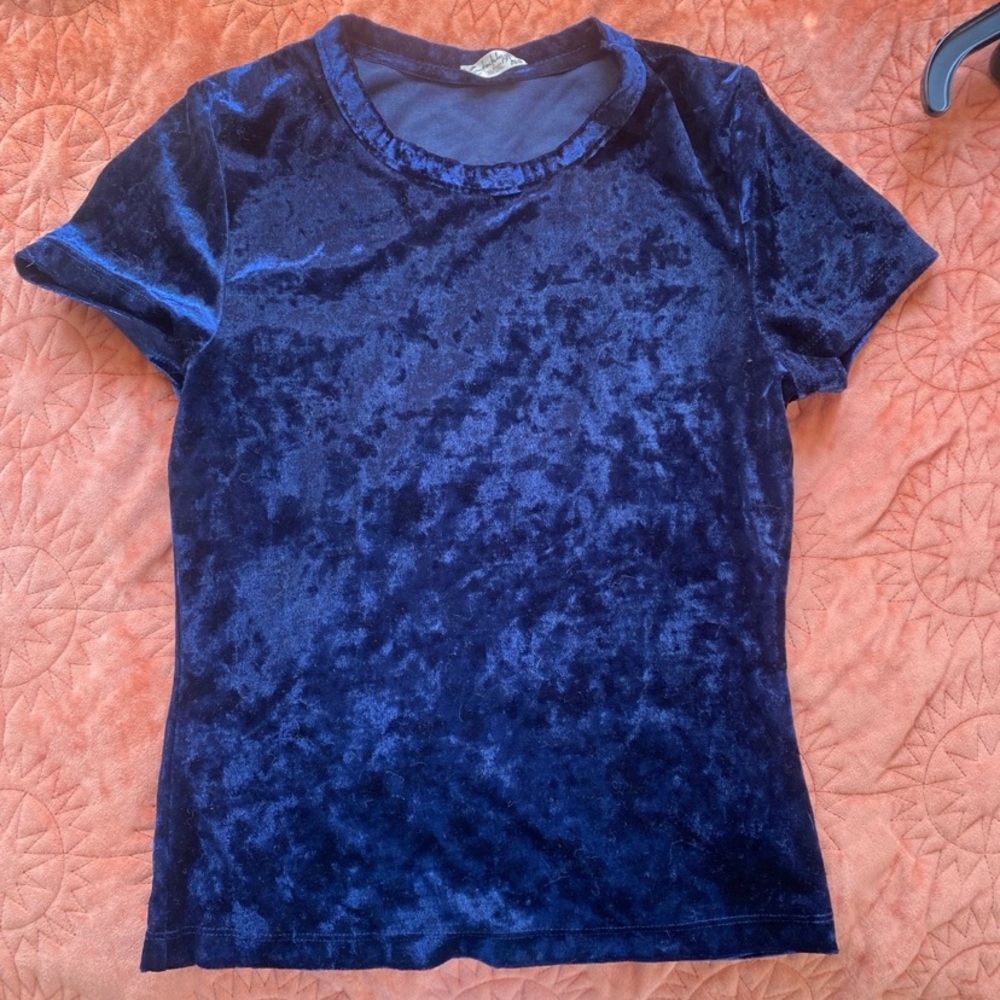 Blue Velvet Free People Top